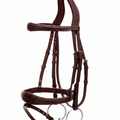Anatomic Legend Bridle