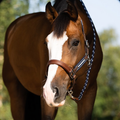 Leather X Elastic Headcollar
