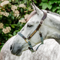 Signature Braided Headcollar